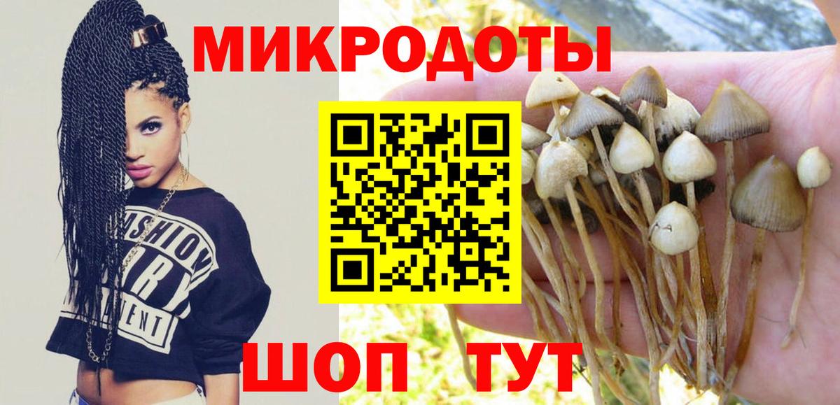 Псилоцибиновые грибы MAGIC MUSHROOMS Петрозаводск