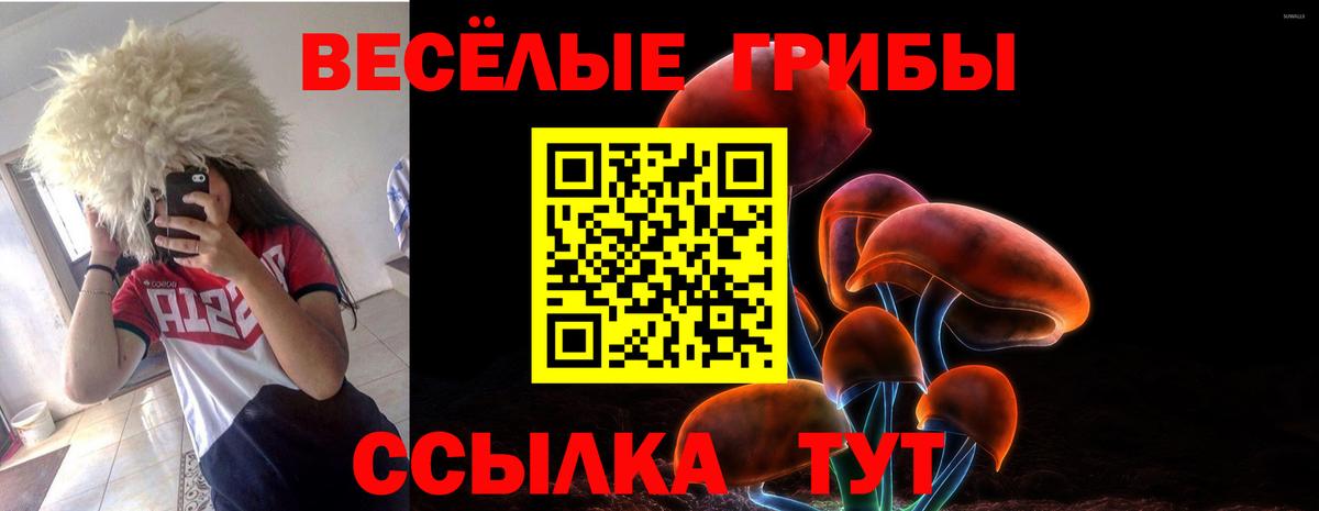 Псилоцибиновые грибы Psilocybe  Галлюциногенные грибы мицелий  Вход с VPN  Петрозаводск 